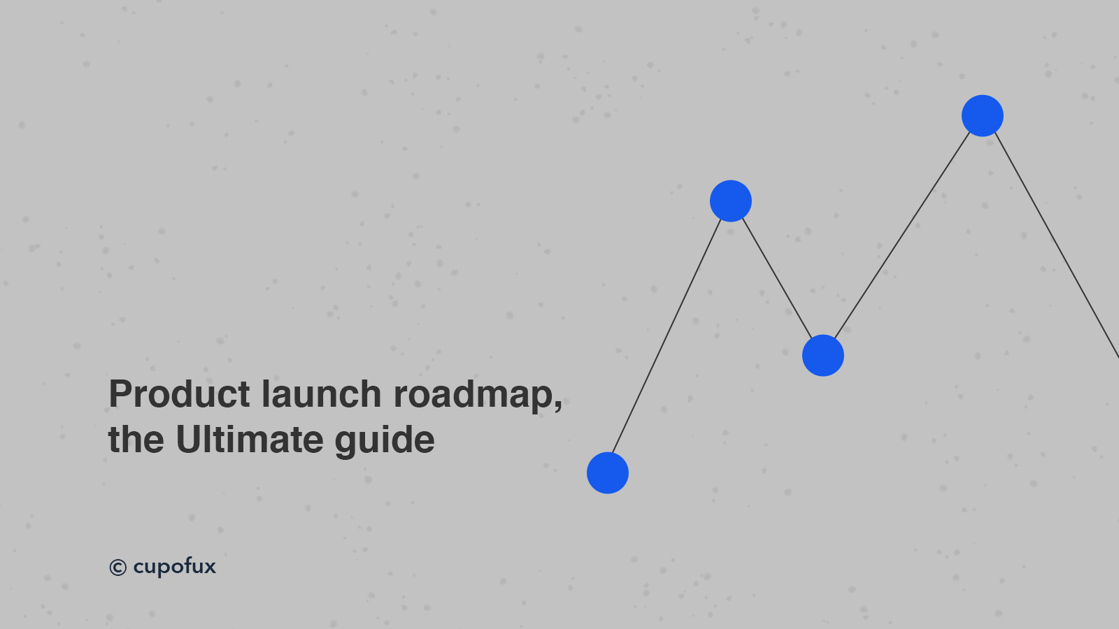 Product launch roadmap